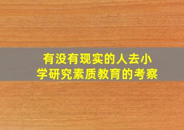 有没有现实的人去小学研究素质教育的考察