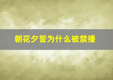 朝花夕誓为什么被禁播