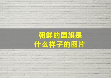 朝鲜的国旗是什么样子的图片