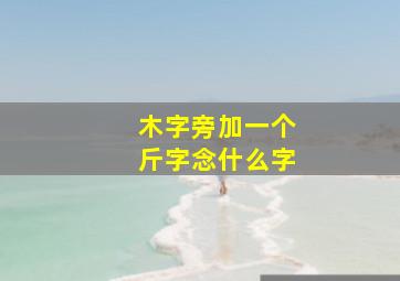 木字旁加一个斤字念什么字