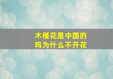 木槿花是中国的吗为什么不开花