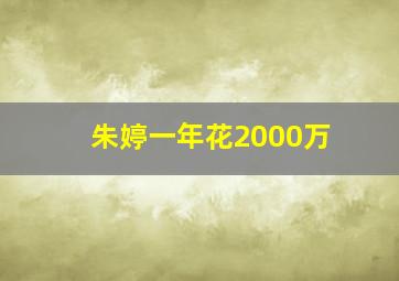 朱婷一年花2000万