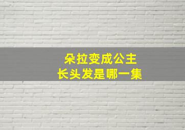 朵拉变成公主长头发是哪一集