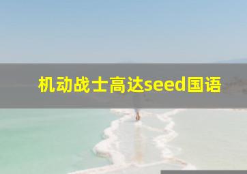 机动战士高达seed国语