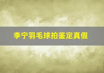 李宁羽毛球拍鉴定真假