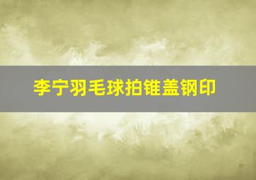 李宁羽毛球拍锥盖钢印