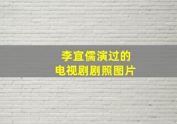 李宜儒演过的电视剧剧照图片