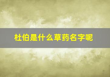 杜伯是什么草药名字呢