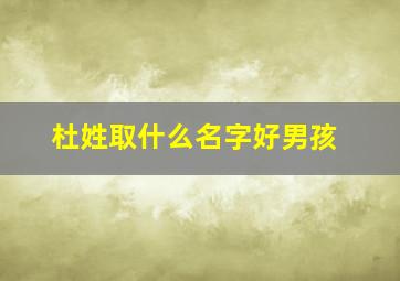 杜姓取什么名字好男孩