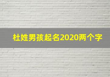 杜姓男孩起名2020两个字