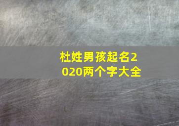 杜姓男孩起名2020两个字大全