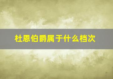 杜恩伯爵属于什么档次