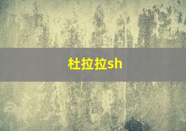 杜拉拉sh