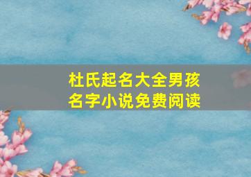 杜氏起名大全男孩名字小说免费阅读