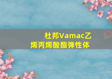 杜邦Vamac乙烯丙烯酸酯弹性体