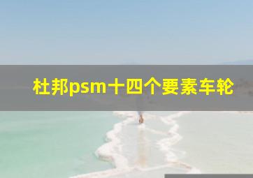 杜邦psm十四个要素车轮