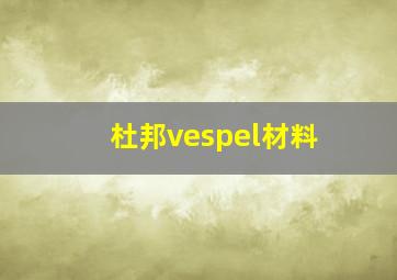 杜邦vespel材料