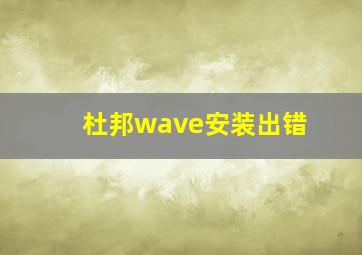 杜邦wave安装出错