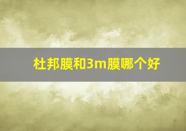 杜邦膜和3m膜哪个好