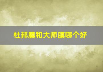 杜邦膜和大师膜哪个好