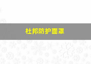 杜邦防护面罩