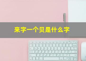 来字一个贝是什么字