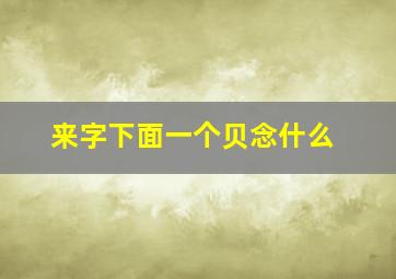 来字下面一个贝念什么