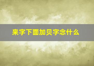 来字下面加贝字念什么