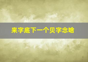 来字底下一个贝字念啥