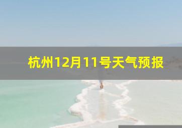 杭州12月11号天气预报