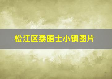 松江区泰晤士小镇图片