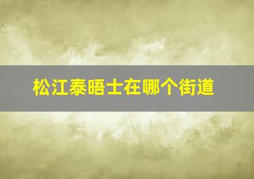 松江泰晤士在哪个街道