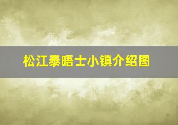 松江泰晤士小镇介绍图