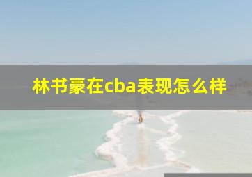 林书豪在cba表现怎么样