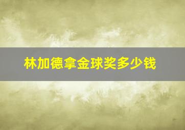 林加德拿金球奖多少钱