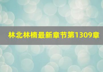 林北林楠最新章节第1309章