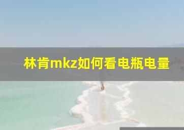 林肯mkz如何看电瓶电量