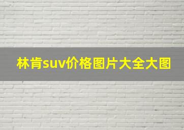 林肯suv价格图片大全大图