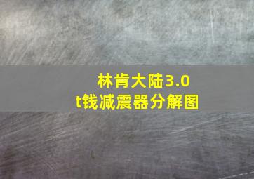 林肯大陆3.0t钱减震器分解图