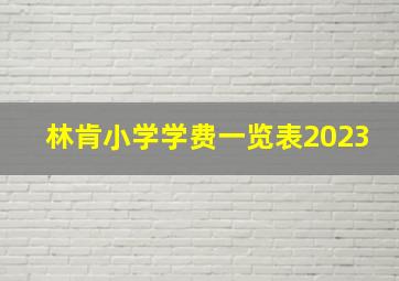 林肯小学学费一览表2023