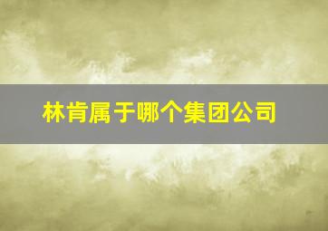 林肯属于哪个集团公司