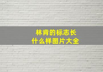 林肯的标志长什么样图片大全