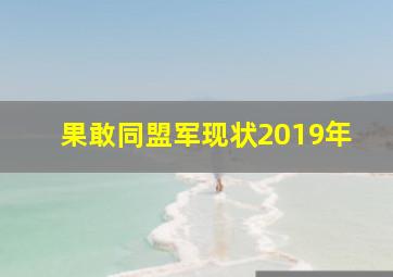 果敢同盟军现状2019年