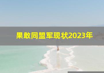 果敢同盟军现状2023年