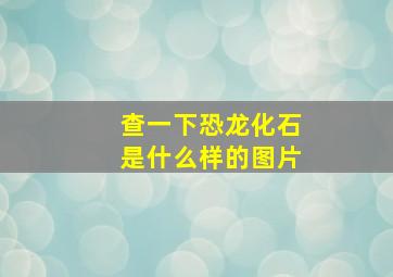 查一下恐龙化石是什么样的图片