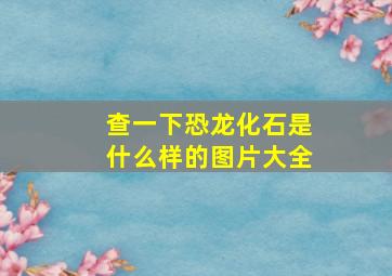 查一下恐龙化石是什么样的图片大全