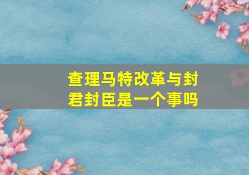 查理马特改革与封君封臣是一个事吗