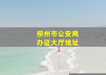 柳州市公安局办证大厅地址