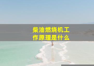 柴油燃烧机工作原理是什么