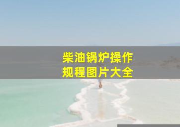 柴油锅炉操作规程图片大全